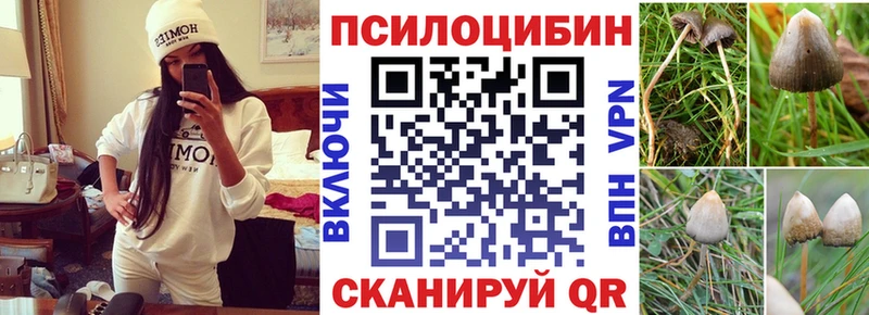 Псилоцибиновые грибы прущие грибы  Камбарка 
